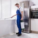 Why Attic Insulation Attracts Pests: Hidden Reasons Explained